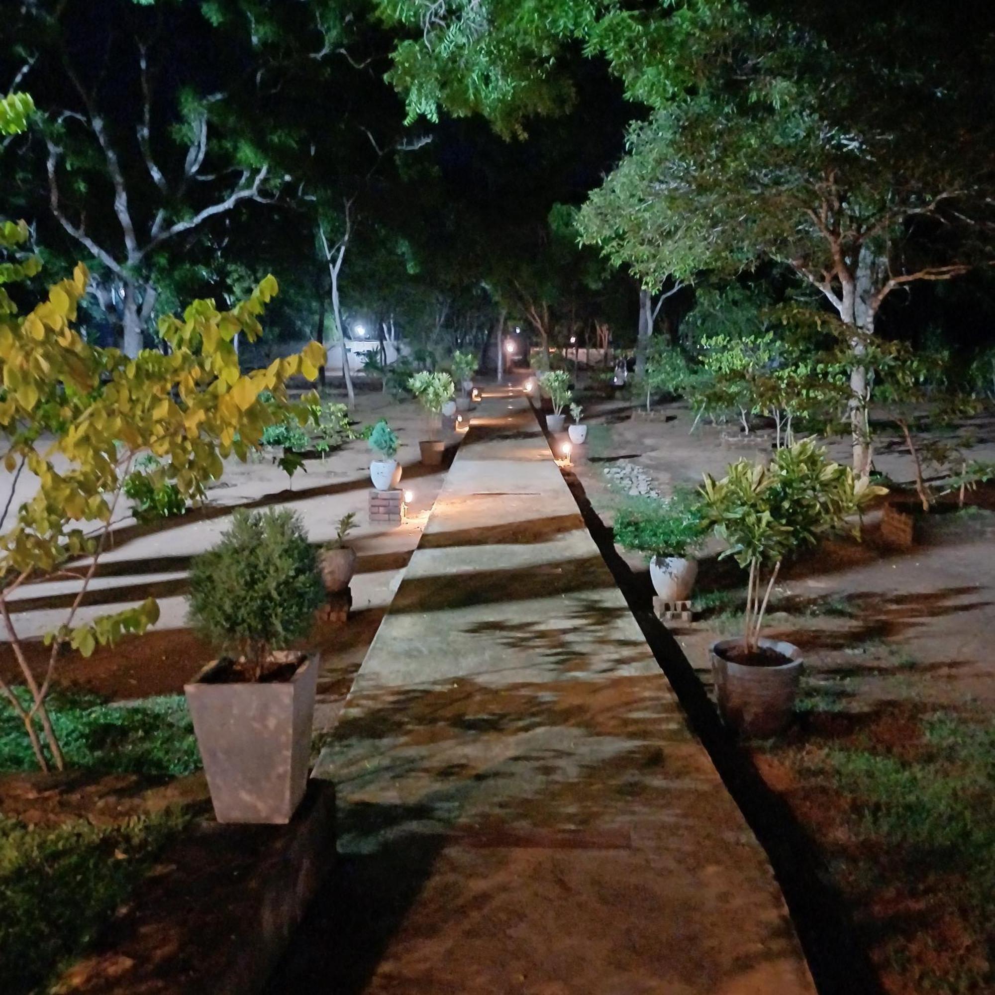 Forest Edge Villa Anuradhapura Exterior foto